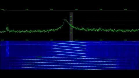 HF RADAR CODAR 25kHz San Clemente Island, CA (SDSC) 1Hz PRF | Signal Phantom