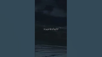 قرآن الكريم #اكسبلور #ياسر_الدوسري #المصحف #راحة_نفسية #yasseraldossary