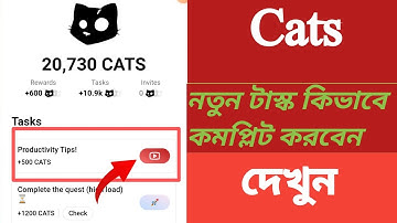 Cats YouTube Video Productivity Tips! Code || cats video code || Productivity Tips Cats Video Code