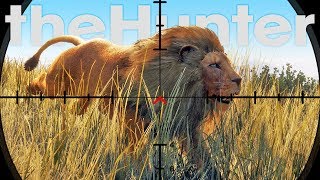 Hunting Lions With A Pistol, What Could Go Wrong? - Lion Hunting Update - theHunter Call of the Wild screenshot 2