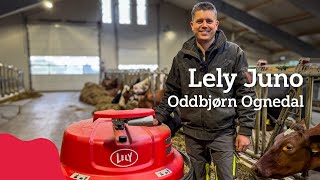 Lely Juno hos Oddbjørn Ognedal