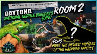 Daytona Reptile Breeders Expo Room 2 Plus The Newest Harmony Family Member