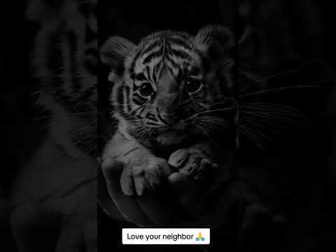 The eternal circle of life❤️. #animals #life #love #cute #ai #cuteanimals #tiktok