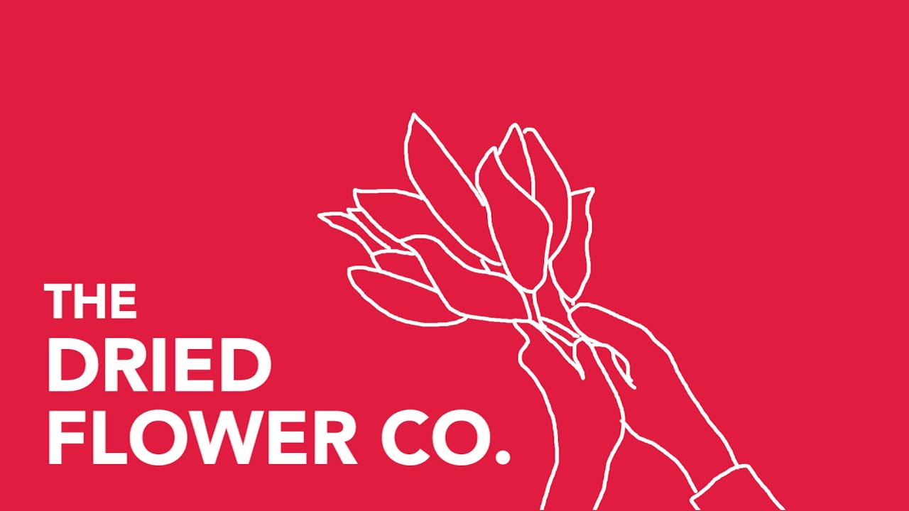 The Dried Flower Co YouTube