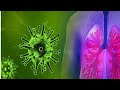 H3N2 virus in Tamilnadu &amp; Karnataka Troll #H3N2 #tamilnadu  @aneestalkies363