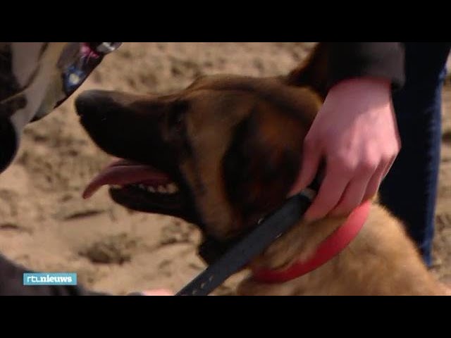 voor honden verboden: 'Maar het is geen dierenmishandeling' - RTL NIEUWS - YouTube