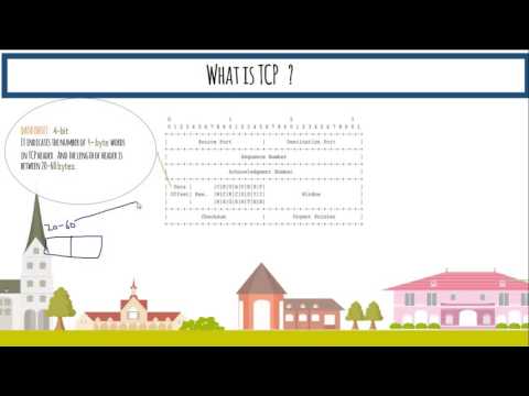 Understanding TCP & UDP - Part 2