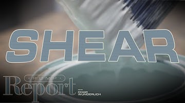 How Can Liquid SHEAR Affect a Pump?