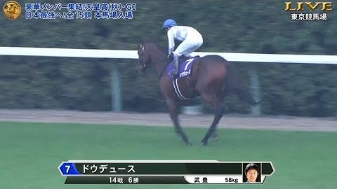 2024年 天皇賞秋 (GI) 本馬場入場【ドウデュース】