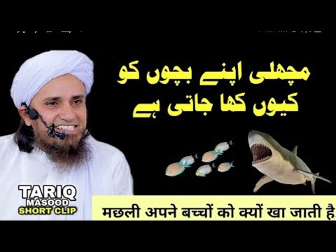 machhali apne Bachon Ko Q Khaa Jati he [Mofti Tariq masood #moftitariqmasood #tariqmasood #allah