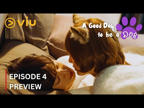 4 entertaining series starring A Good Day to Be a Dog star Cha Eun Woo that  prove he's a K-drama heartthrob; on  Prime Video & Netflix