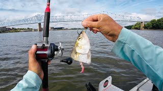 Catfishing for Money  Ohio River