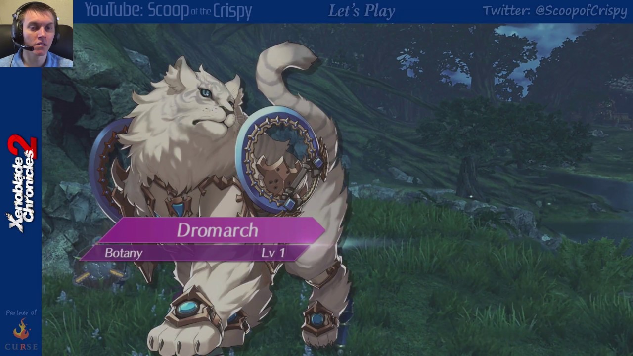 Part 13 Xenoblade Chronicles 2 Let's Play (Switch) Finding