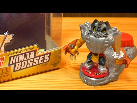 I think I'll make the ninja boss from AKEDO Series 8
