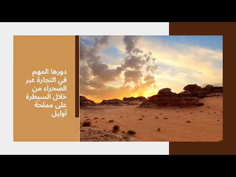 تاريخ القبائل الصنهاجية كدالة لمتونة ومسوفة تأريخ بودكاست صحراء المرابطين تاريخ المغرب