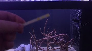 Interpet  Easy Test Complete Aquarium Dip Test Kit