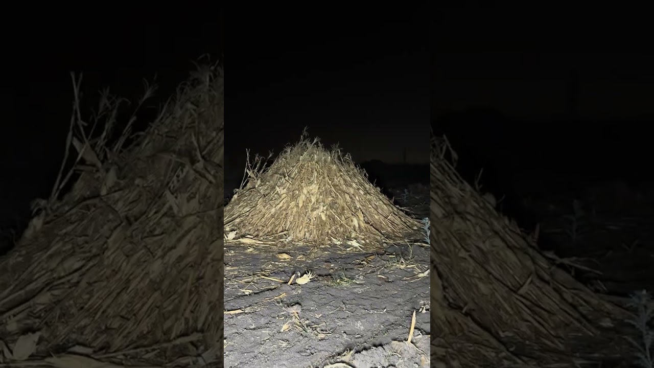 QUE SER ERA EL QUE ESTABA AQUÍ, REGREAREMOS