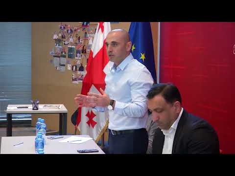 დაპირისპირება ნაცმოძრაობაში - ხაბეიშვილის თანამდებობიდან წასვლას სულ უფრო მეტი ადამიანი ითხოვს