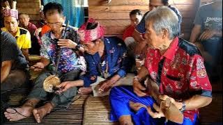 Rebab dan Kecapi Alat musik Suku Dayak Katingan Desa Tumbang Atei