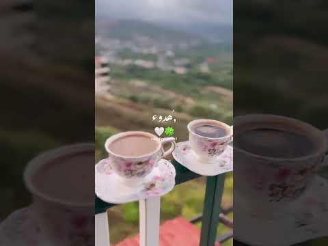 فضل شاكر هوي الجنوب