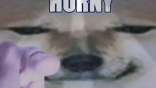 Funny Cheems meme