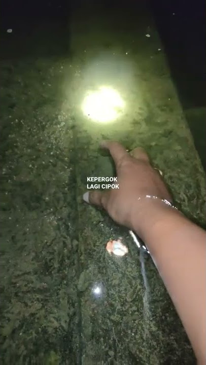 Kepergok Lagi Mesum