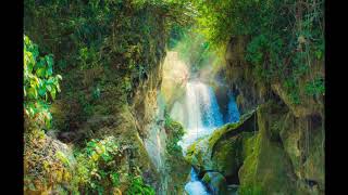 75 mins of nature sounds|stream,water & birds sound|1.15hrs screenshot 4