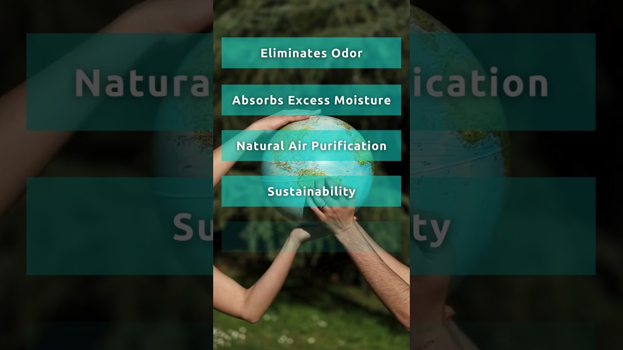 The Benefits of Bamboo Charcoal | Clevast