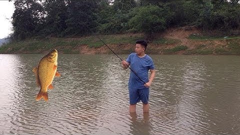 ĐI CÂU CÁ CHÉP TẠI HỒ NÚI CỐC | Liêu Popper Vlogs