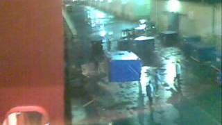 sealion.wmv