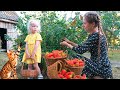 What RUSSIANS make from BERRIES? The Ulengovs family life in the Russian village