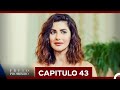 Fruto Prohibido Capítulo 43 Doblado en Español