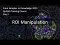 ROI Manipulation