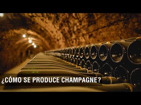 Video: ¿Dónde se produce el champán?