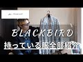 【俺とblackbird】持っている服全部紹介！唯一無二な今一番気になるブランド