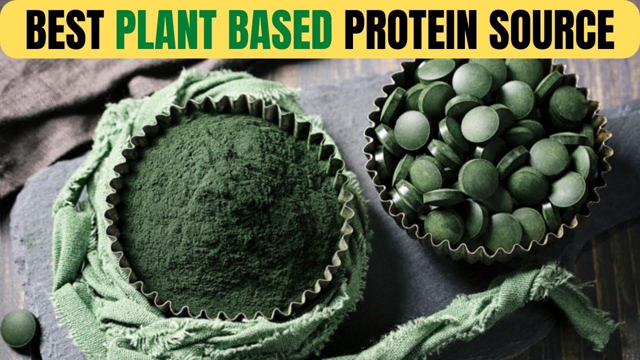 Spirulina The Superfood of the Future YouTube