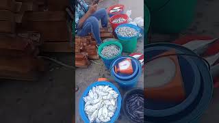 mga vendors