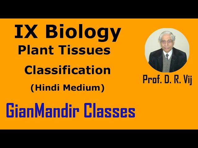 IX Biology | Plant Tissues | Classification (Hindi Medium) by Ruchi Ma'am