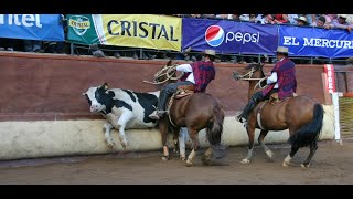 Remate Caballos Raza Chilena