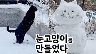 고양이 발이 푹푹 빠지는 폭설 by 뽀글씨 725 views 4 months ago 5 minutes, 9 seconds