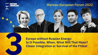 Europe without Russian energy: is it possible, when, what will that mean? screenshot 5