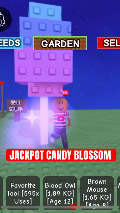 VALUABLE Giant Celestial Candy Blossom!