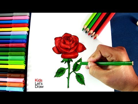 Vídeo: Com Dibuixar Un Ram De Roses