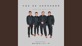 Video thumbnail of "Loor de Gratitud - El Dios Que Yo Sirvo"