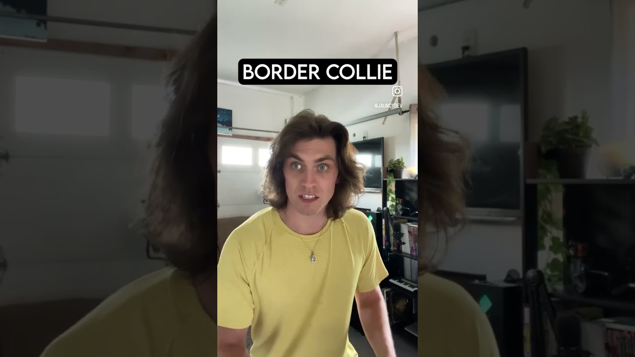 How Dog Breeds React To Robbers PT 6