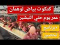 تكلفة تربية كتكوت بياض لوهمان برنامج تحصين البياض