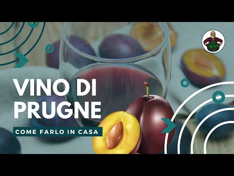 Vino di prugne fatto in casa. Ricetta completa