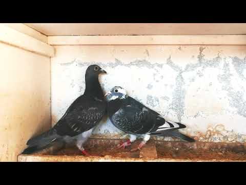 ٣٠ ديسمبر ٢٠١٧