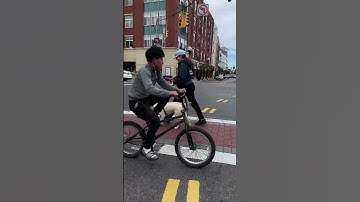 How do guide dogs cross a street? #guidedog #independence #mobilitytraining #blind #lowvision