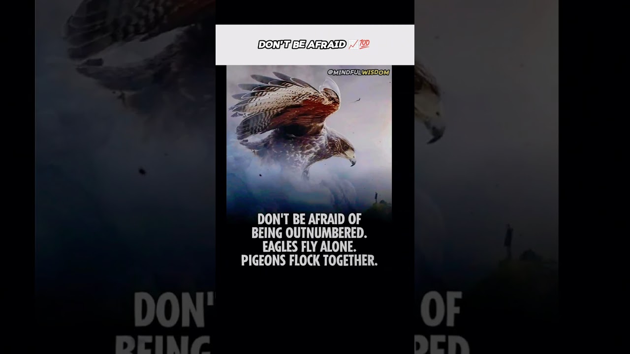 Don't Be Afraid | MINDFUL WISDOM